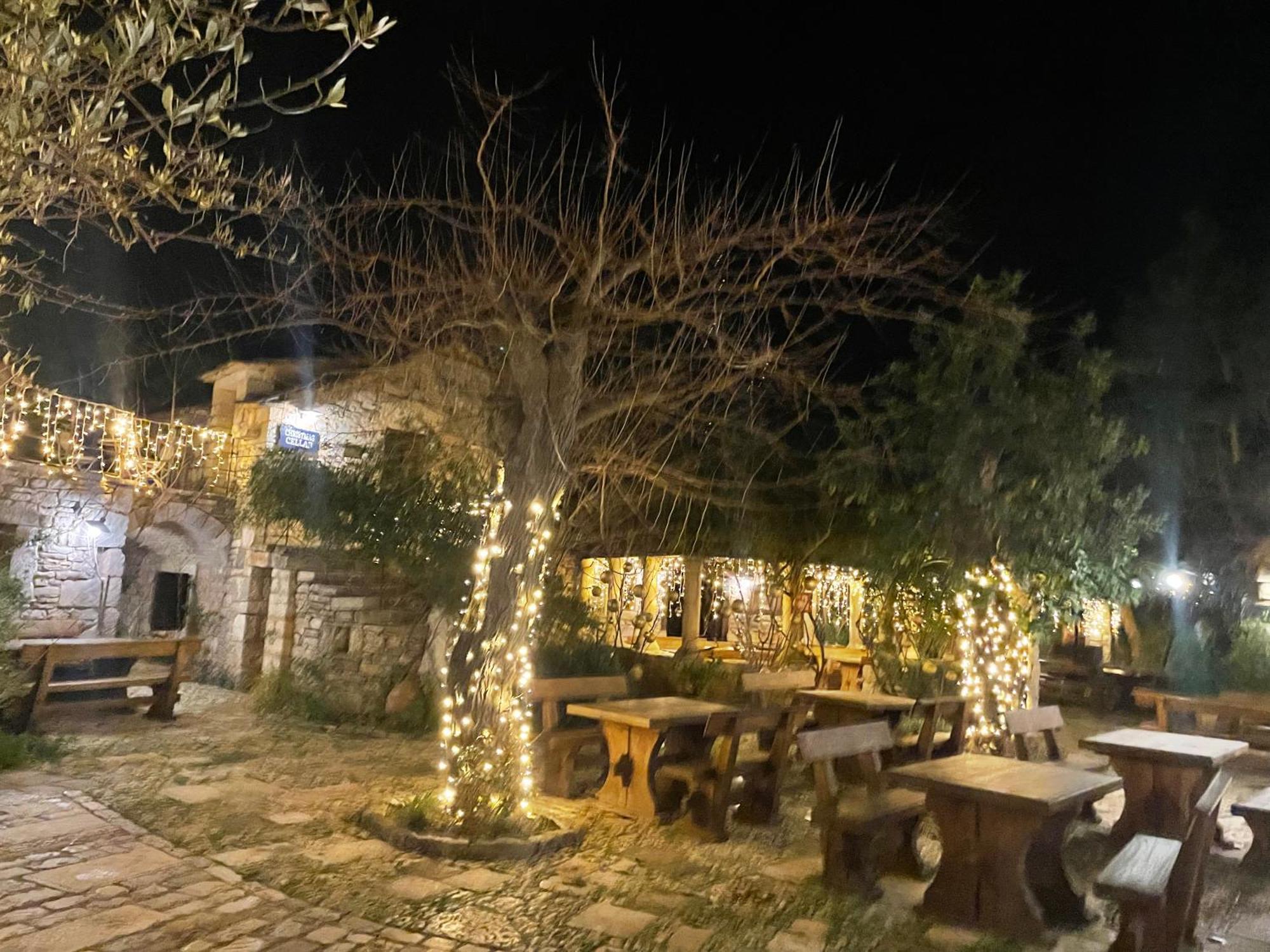 My Adriatic Place With Private Garden And Garage Σίμπενικ Εξωτερικό φωτογραφία
